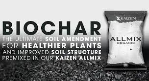 Biochar Soil Amendment